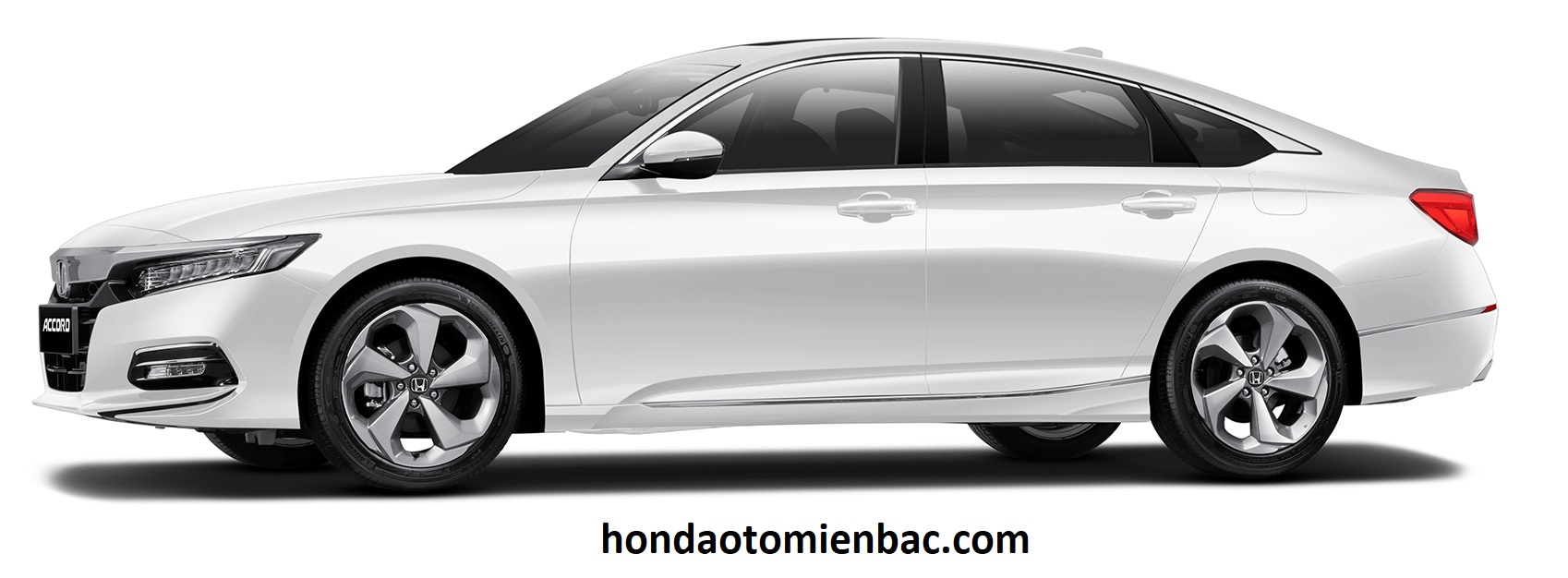 than xe honda accord 2023 viet nam result