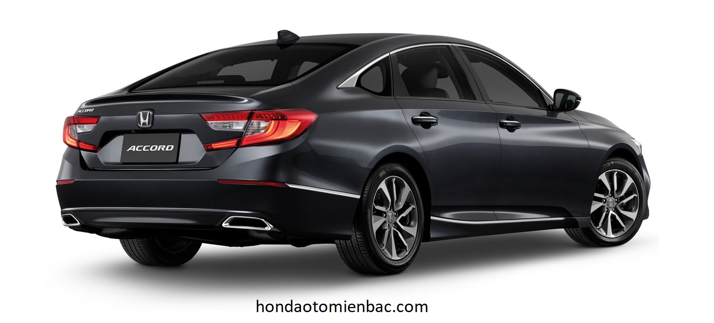 duoi xe honda accord 2023 viet nam result