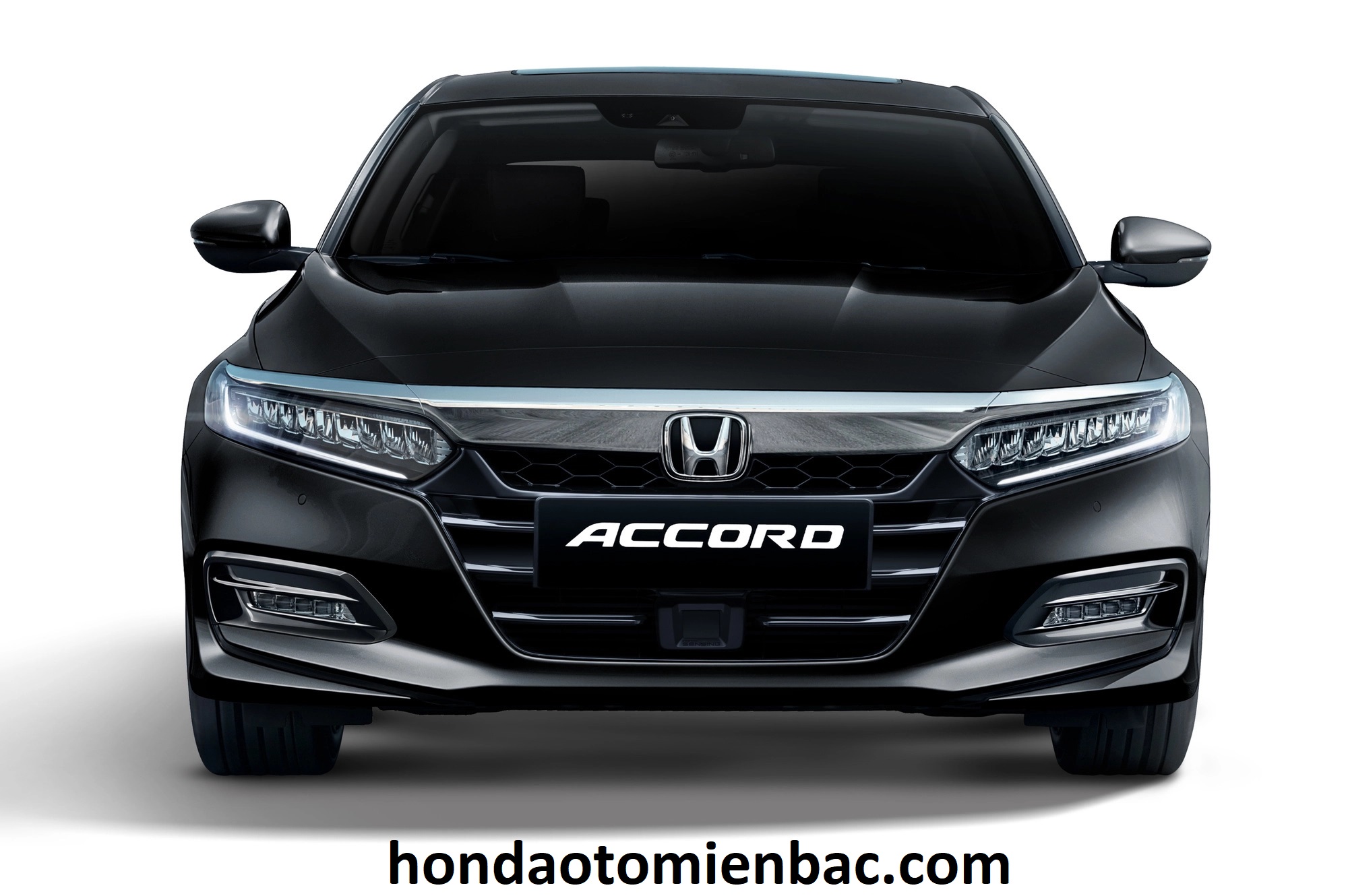 B02 ngoai that xe honda accord 2023 viet nam result