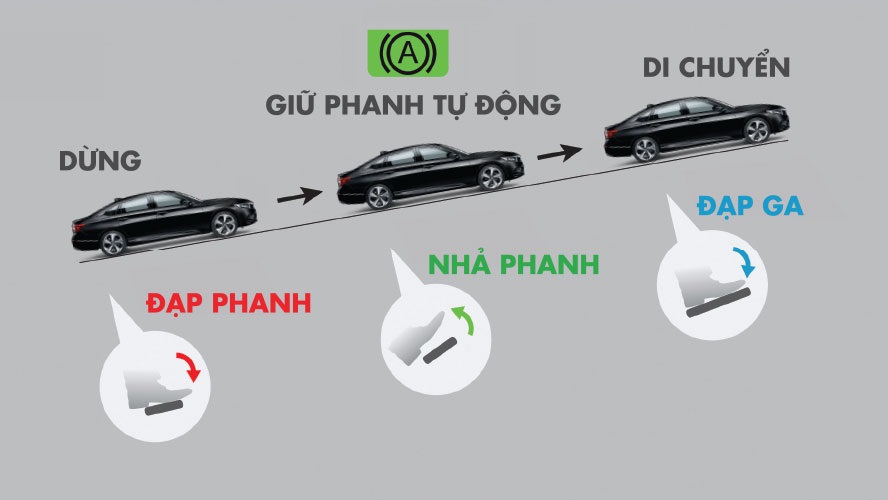 phanh tu dong xe honda accord 2023 viet nam result