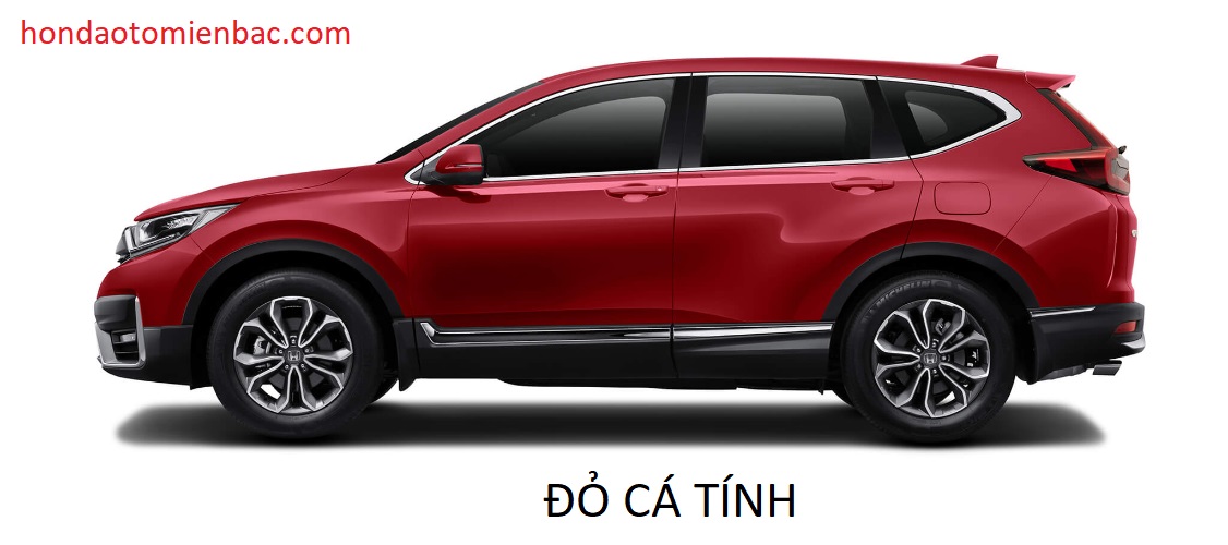 CRV MAU DO