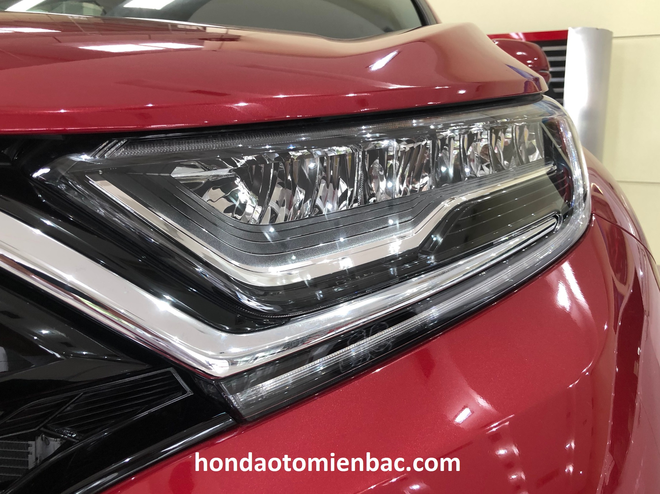 cụm đèn trước honda crv g 2023