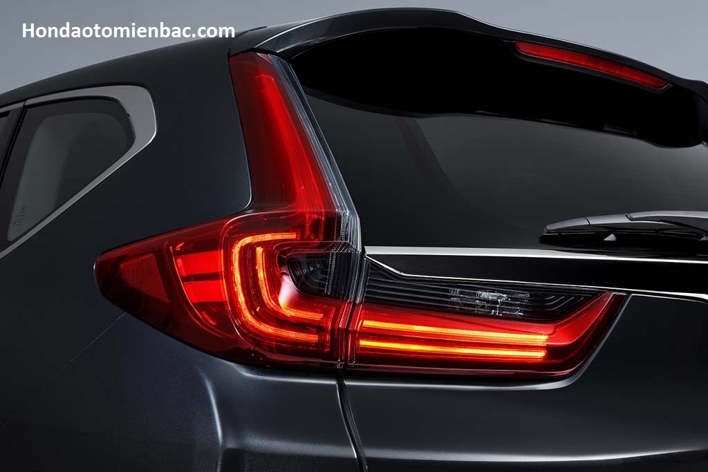 exterior taillight cluster