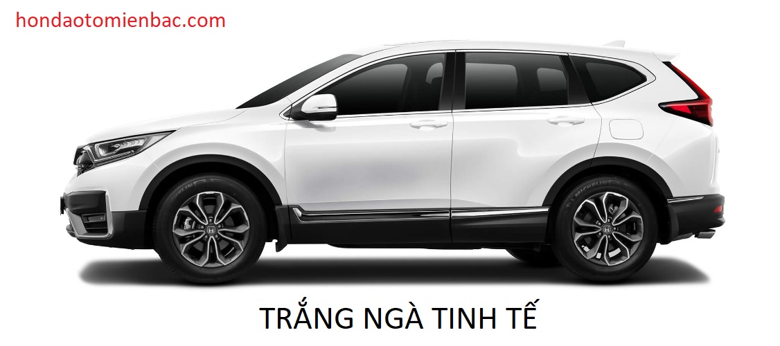 honda CRV MAU TRANG